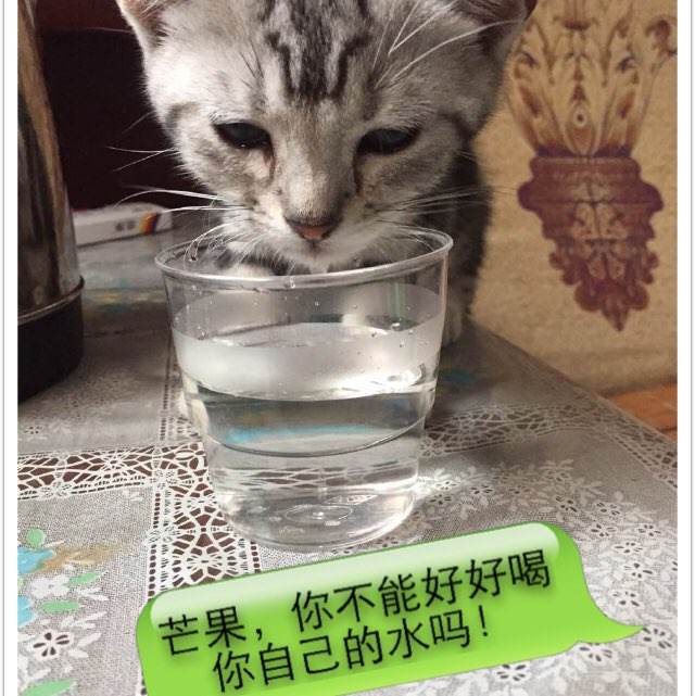 哪里能做药品经营许可证